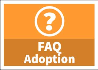 Adoption FAQ