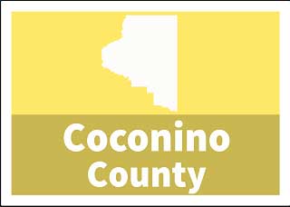 Coconino County Superior Court Child Support forms